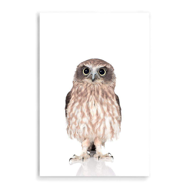 Baby Owl-The Paper Tree-animal,Artwork,BABY,BABY ANIMAL,bird,feathers,KIDS DECOR,kids room,kids wall art,nursery,NURSERY DECOR,owl,portrait,premium art print,wall art,Wall_Art,Wall_Art_Prints