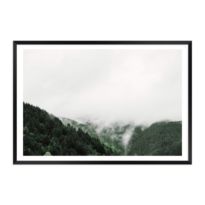 Mountain Mist-The Paper Tree-america,australia,botanical,clouds,enchanting,forest,green,landscape,mist,misty,misty trees,mountain,mountains,nature,pine forest,pine trees,premium art print,tree,trees,wall art,Wall_Art,Wall_Art_Prints