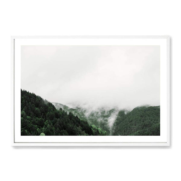 Mountain Mist-The Paper Tree-america,australia,botanical,clouds,enchanting,forest,green,landscape,mist,misty,misty trees,mountain,mountains,nature,pine forest,pine trees,premium art print,tree,trees,wall art,Wall_Art,Wall_Art_Prints