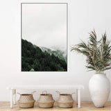Mountain Pine trees-The Paper Tree-america,australia,botanical,clouds,enchanting,forest,green,mist,misty,misty trees,mountain,mountains,nature,pine forest,pine trees,portrait,premium art print,tree,trees,wall art,Wall_Art,Wall_Art_Prints