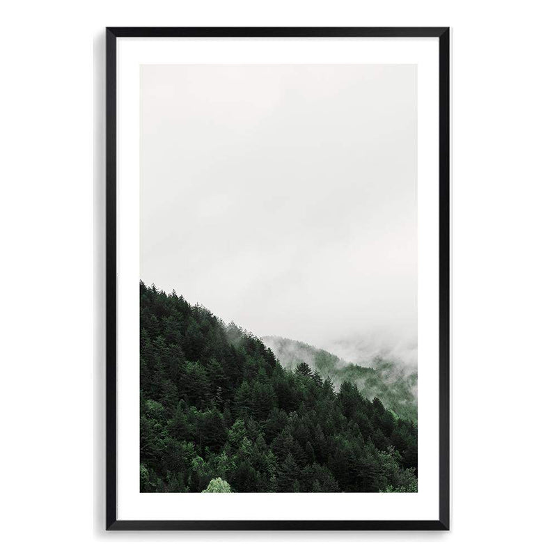 Mountain Pine trees-The Paper Tree-america,australia,botanical,clouds,enchanting,forest,green,mist,misty,misty trees,mountain,mountains,nature,pine forest,pine trees,portrait,premium art print,tree,trees,wall art,Wall_Art,Wall_Art_Prints