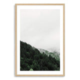 Mountain Pine trees-The Paper Tree-america,australia,botanical,clouds,enchanting,forest,green,mist,misty,misty trees,mountain,mountains,nature,pine forest,pine trees,portrait,premium art print,tree,trees,wall art,Wall_Art,Wall_Art_Prints
