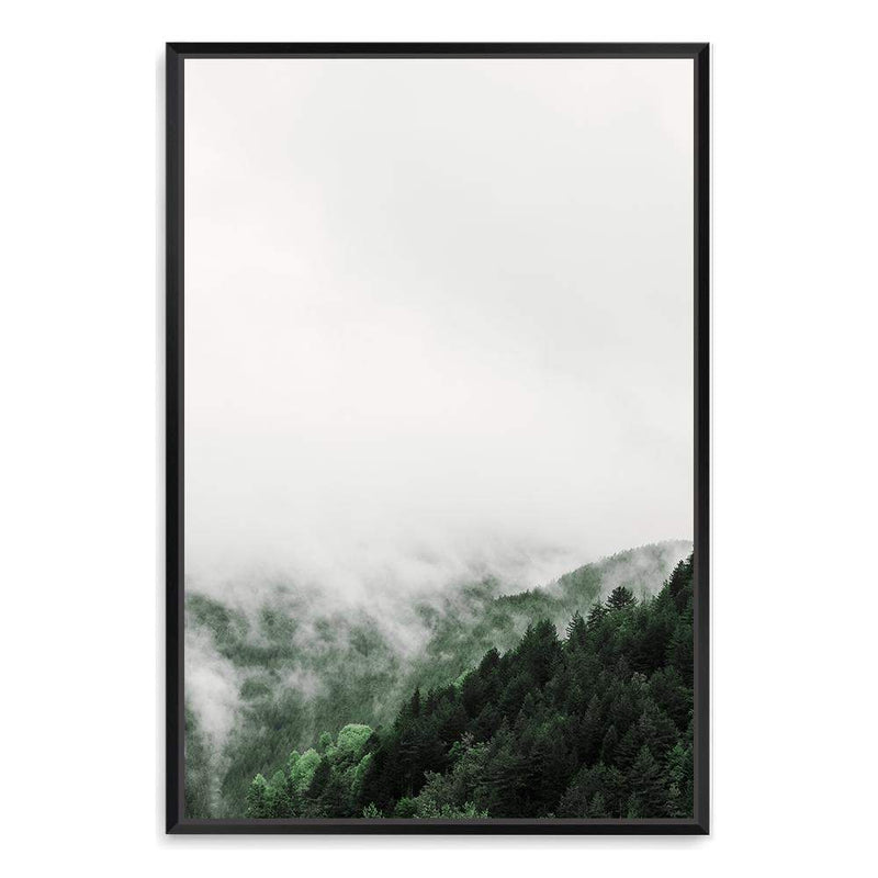 Premium Photo  Forrest of green pine trees in mountains