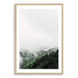 Mountain Pine Forest-The Paper Tree-america,australia,botanical,clouds,enchanting,forest,green,mist,misty,misty trees,mountain,mountains,nature,pine forest,pine trees,portrait,premium art print,tree,trees,wall art,Wall_Art,Wall_Art_Prints