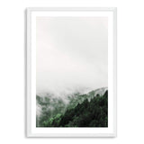 Mountain Pine Forest-The Paper Tree-america,australia,botanical,clouds,enchanting,forest,green,mist,misty,misty trees,mountain,mountains,nature,pine forest,pine trees,portrait,premium art print,tree,trees,wall art,Wall_Art,Wall_Art_Prints