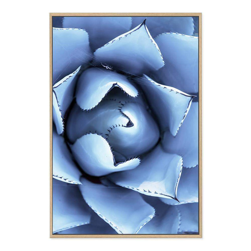 Winter Blue Succulent-The Paper Tree-blue,botanical,cacti,cactus,colourful,portrait,powder blue,premium art print,spider,succulent,vibrant,wall art,Wall_Art,Wall_Art_Prints,web,winter,winter blue