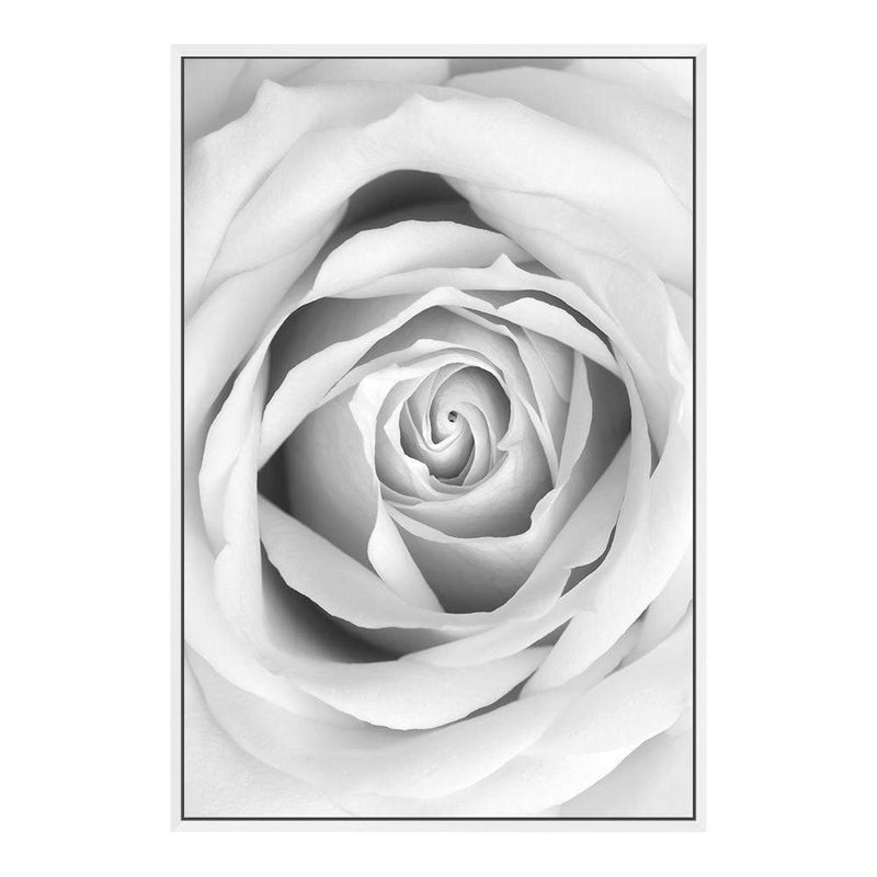 Rose-The Paper Tree-black & white,BLACK AND WHITE,feminine,floral,flower,hamptons,monochrome,petals,portrait,premium art print,rose,roses,wall art,Wall_Art,Wall_Art_Prints