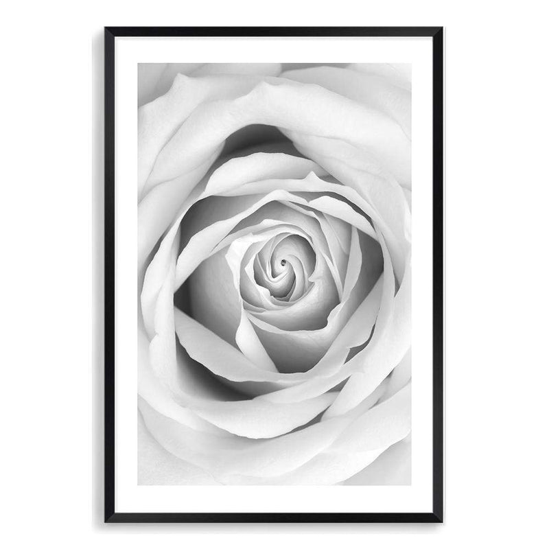Rose-The Paper Tree-black & white,BLACK AND WHITE,feminine,floral,flower,hamptons,monochrome,petals,portrait,premium art print,rose,roses,wall art,Wall_Art,Wall_Art_Prints
