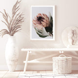 Peach Protea Floral-The Paper Tree-boho,feminine,floral,flower,flowers,green,muted tone,peach,portrait,premium art print,protea,protea flower,wall art,Wall_Art,Wall_Art_Prints