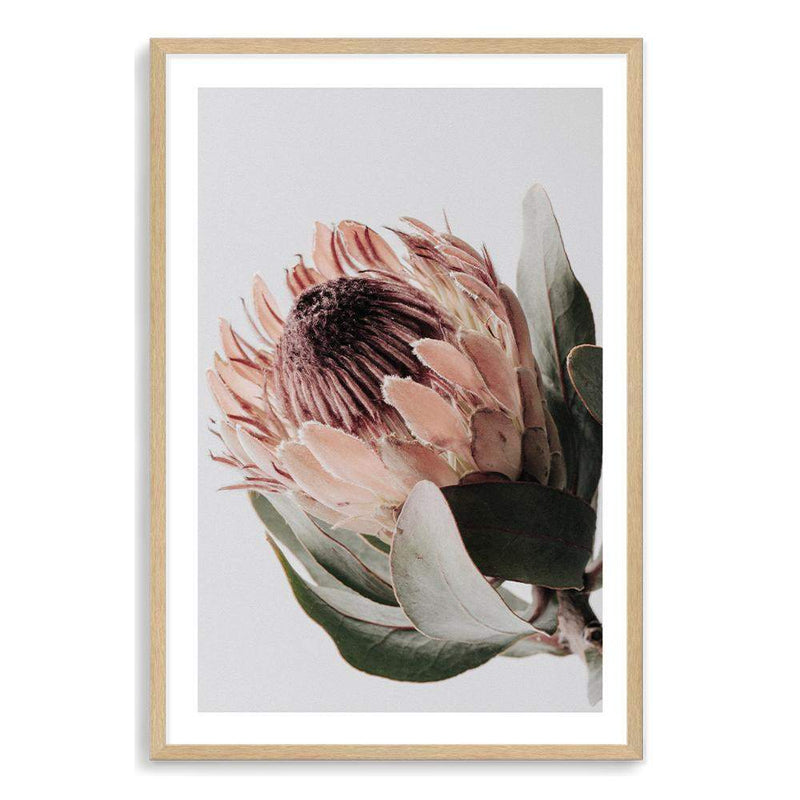 Peach Protea Floral-The Paper Tree-boho,feminine,floral,flower,flowers,green,muted tone,peach,portrait,premium art print,protea,protea flower,wall art,Wall_Art,Wall_Art_Prints