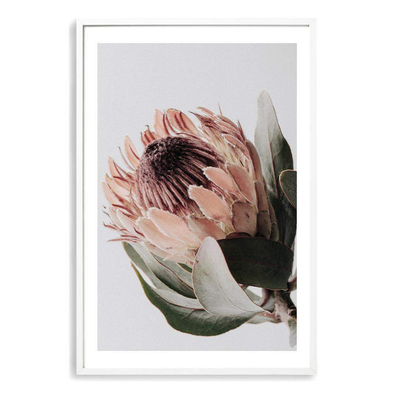 Set of 2 - Peach Protea Floral  & No.2-The Paper Tree-Artwork,boho,coastal,Floral,flower,gift,peach,portrait,premium art print,protea,wall art,Wall_Art,Wall_Art_Prints