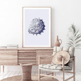 Blue Sea Shell II | Hamptons-The Paper Tree-Art_Prints,Artwork,BEACH,blue,blue coral,coastal,COASTAL ART,coral,Designer,hamptons,portrait,premium art print,sea shell,shell,wall art,Wall_Art,Wall_Art_Prints