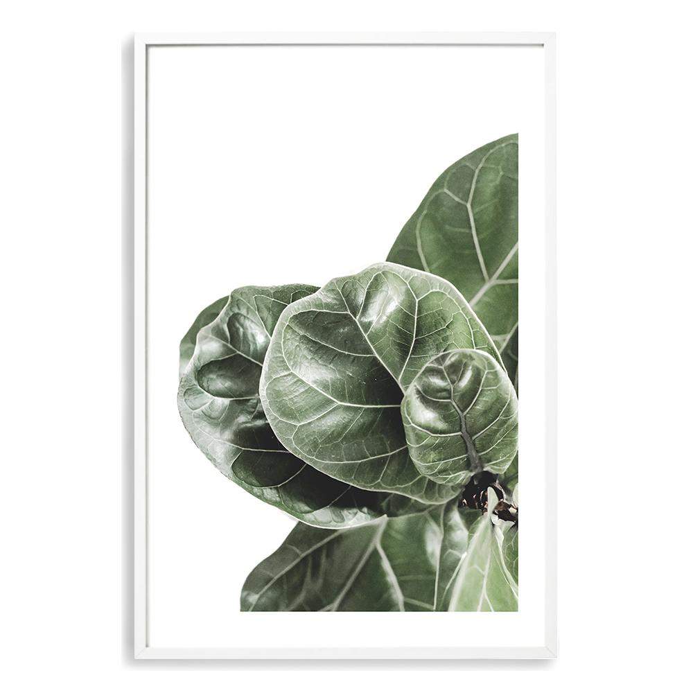 fiddle leaf fig art Set of 2 - Fig Leaf