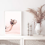 Peach Camel-The Paper Tree-Art_Prints,Artwork,boho,boho camel,camel,desert,Designer,horizon,moroccan,morocco,neutral,peach,pink,portrait,premium art print,wall art,Wall_Art,Wall_Art_Prints