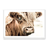 Henderson The Highland Cow-The Paper Tree-animal,bull,cattle,cow,henderson,highland bull,highland cattle,highland cow,landscape,nature,orange,premium art print,TAN,wall art,Wall_Art,Wall_Art_Prints