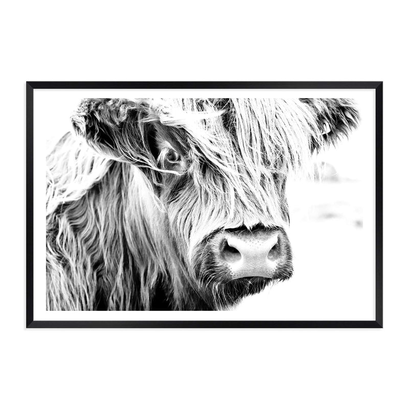 Henderson The Highland Cow II-The Paper Tree-animal,black & white,BLACK AND WHITE,bull,cattle,cow,henderson,highland bull,highland cattle,highland cow,landscape,monochrome,nature,premium art print,wall art,Wall_Art,Wall_Art_Prints