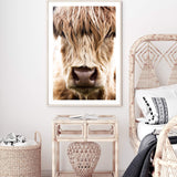 Highland Cow Portrait-The Paper Tree-Artwork,bohemian,boho,CATTLE,framed,framed print,herd,highland bull,highland cattle,highland cow,nature,portrait,premium art print,TAN,wall art,Wall_Art,Wall_Art_Prints