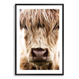 Highland Cow Portrait-The Paper Tree-Artwork,bohemian,boho,CATTLE,framed,framed print,herd,highland bull,highland cattle,highland cow,nature,portrait,premium art print,TAN,wall art,Wall_Art,Wall_Art_Prints