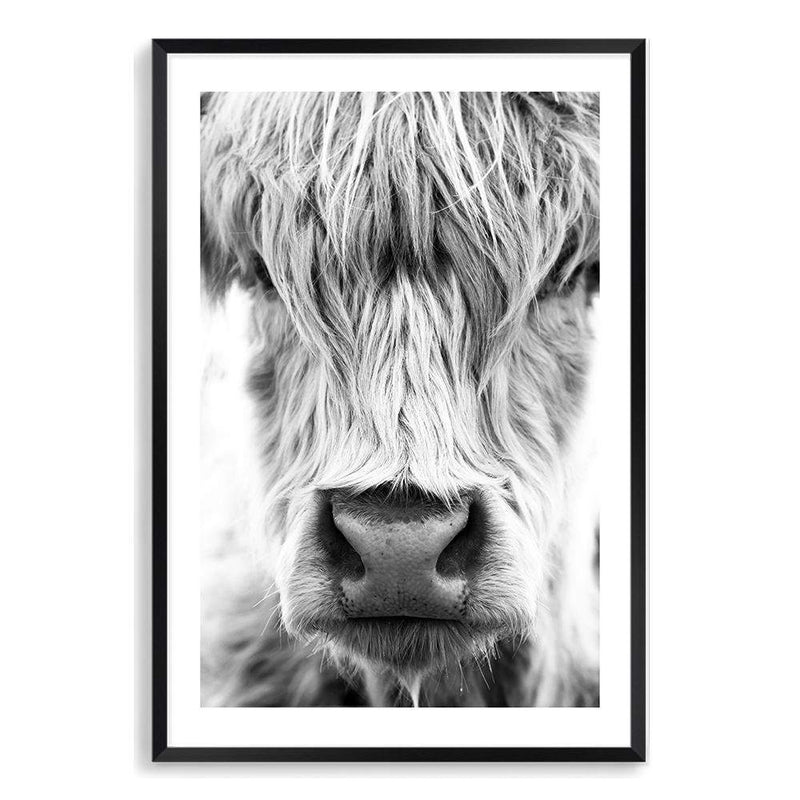 Highland Cow Portrait II-The Paper Tree-Artwork,black & white,BLACK AND WHITE,bohemian,boho,CATTLE,framed,framed print,herd,highland bull,highland cattle,highland cow,monochrome,nature,portrait,premium art print,wall art,Wall_Art,Wall_Art_Prints