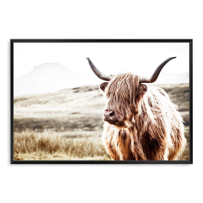 Hamish The Highland Cow-The Paper Tree-bull,cattle,cow,highland,highland bull,highland cattle,highland cow,landscape,nature,premium art print,TAN,wall art,Wall_Art,Wall_Art_Prints
