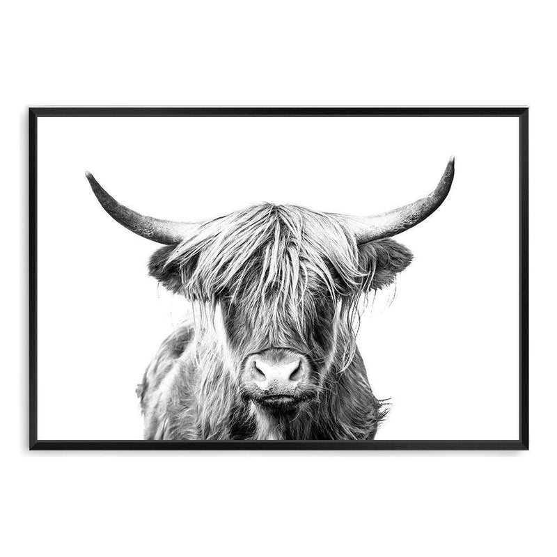 Harper The Highland Cow II-The Paper Tree-animal,black & white,bull,cattle,cow,harper,highland bull,highland cattle,highland cow,landscape,monochrome,nature,premium art print,wall art,Wall_Art,Wall_Art_Prints