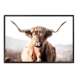 Harrison The Highland Cow-The Paper Tree-animal,bull,cattle,cow,harrison,highland bull,highland cattle,highland cow,landscape,nature,orange,premium art print,TAN,wall art,Wall_Art,Wall_Art_Prints