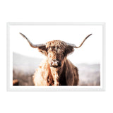 Harrison The Highland Cow-The Paper Tree-animal,bull,cattle,cow,harrison,highland bull,highland cattle,highland cow,landscape,nature,orange,premium art print,TAN,wall art,Wall_Art,Wall_Art_Prints