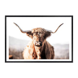 Harrison The Highland Cow-The Paper Tree-animal,bull,cattle,cow,harrison,highland bull,highland cattle,highland cow,landscape,nature,orange,premium art print,TAN,wall art,Wall_Art,Wall_Art_Prints