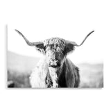 Harrison The Highland Cow II-The Paper Tree-animal,black & white,BLACK AND WHITE,bull,cattle,cow,harrison,highland bull,highland cattle,highland cow,landscape,monochrome,nature,orange,premium art print,wall art,Wall_Art,Wall_Art_Prints