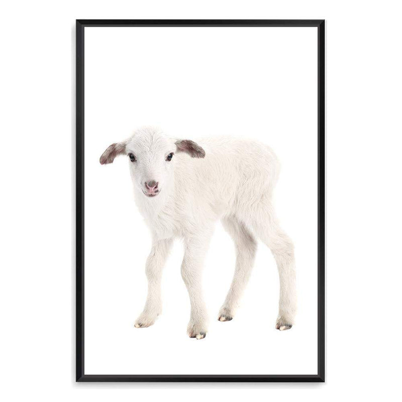 Baby Lamb-The Paper Tree-animal,Artwork,baby,cute,kids room,kids wall art,lamb,neutral,nursery,nursery decor,portrait,premium art print,wall art,Wall_Art,Wall_Art_Prints,white