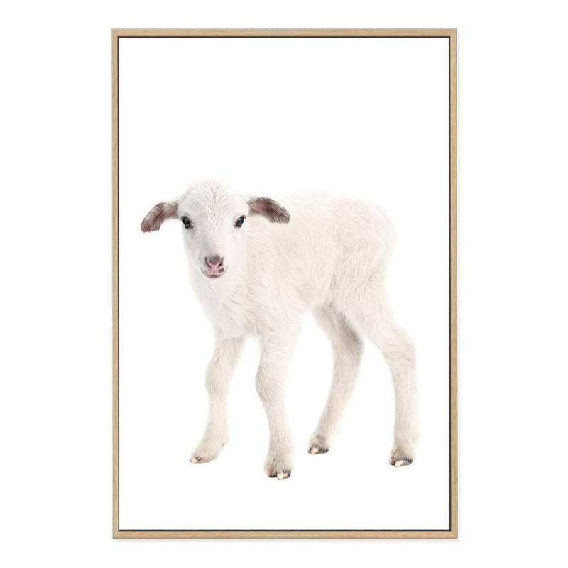 Baby Lamb-The Paper Tree-animal,Artwork,baby,cute,kids room,kids wall art,lamb,neutral,nursery,nursery decor,portrait,premium art print,wall art,Wall_Art,Wall_Art_Prints,white