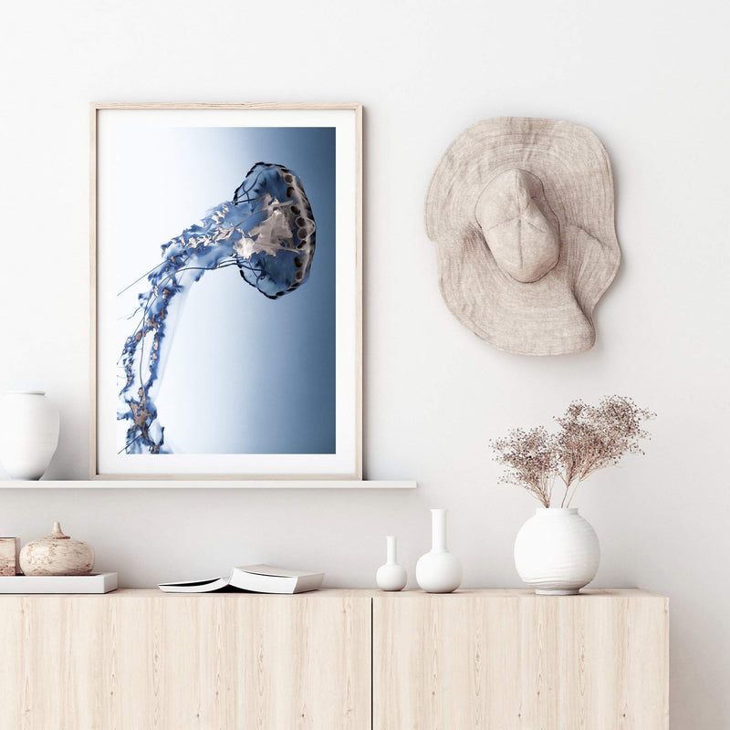 Jellyfish-The Paper Tree-Animal,Colourful,Fish,hamptons,Jellyfish,Ocean,portrait,premium art print,Sea,vibrant,wall art,Wall_Art,Wall_Art_Prints