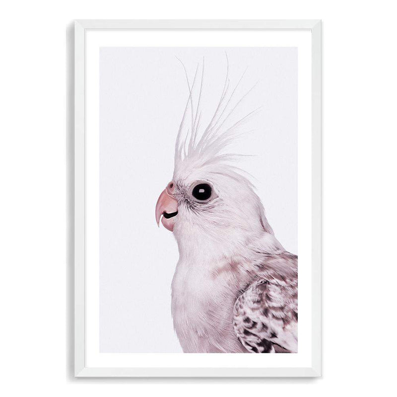 Coco The Cockatiel-The Paper Tree-Artwork,BIRD,Birds,blue bird,blue parrot,budgerigar,budgie,cockatiel,cockatiels,cockatoo,colourful Bird,hamptons,neutral,painted bird,parrot,parrots,portait,premium art print,wall art,Wall_Art,Wall_Art_Prints