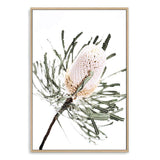 Australian Native Banksia Floral-The Paper Tree-australia,australian,australian art,australian native,australiana,Banksia,Banksia flower,floral,flower,flowers,green,hamptons,muted tone,native,native flower,native flowers,neutral,portrait,premium art print,wall art,Wall_Art,Wall_Art_Prints,yellow