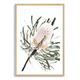 Australian Native Banksia Floral-The Paper Tree-australia,australian,australian art,australian native,australiana,Banksia,Banksia flower,floral,flower,flowers,green,hamptons,muted tone,native,native flower,native flowers,neutral,portrait,premium art print,wall art,Wall_Art,Wall_Art_Prints,yellow