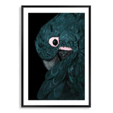 Painted Parrot-The Paper Tree-Artwork,BIRD,Birds,black,blue bird,blue parrot,cockatiel,cockatoo,colourful Bird,feathers,green,hand painted,maccaw,painted bird,parrot,parrots,portrait,premium art print,teal,wall art,Wall_Art,Wall_Art_Prints