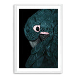 Painted Parrot-The Paper Tree-Artwork,BIRD,Birds,black,blue bird,blue parrot,cockatiel,cockatoo,colourful Bird,feathers,green,hand painted,maccaw,painted bird,parrot,parrots,portrait,premium art print,teal,wall art,Wall_Art,Wall_Art_Prints