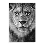 Leo The Lion II-The Paper Tree-africa,african,african animal,African animals,animals,Art_Prints,Artwork,black,black & white,black and white,boho,Designer,hand painted,leo,lion,monochrome,portrait,premium art print,wall art,Wall_Art,Wall_Art_Prints