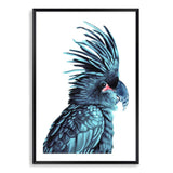 The Palm Cockatoo-The Paper Tree-Artwork,BIRD,Birds,blue bird,blue parrot,cockatiel,cockatoo,colourful Bird,hamptons,painted bird,parrot,parrots,portrait,premium art print,wall art,Wall_Art,Wall_Art_Prints