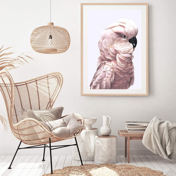 Pink Cockatoo-The Paper Tree-Artwork,BIRD,Birds,blue bird,blue parrot,boho,cockatiel,cockatoo,colourful Bird,painted bird,parrot,parrots,pink cockatoo,portrait,premium art print,wall art,Wall_Art,Wall_Art_Prints