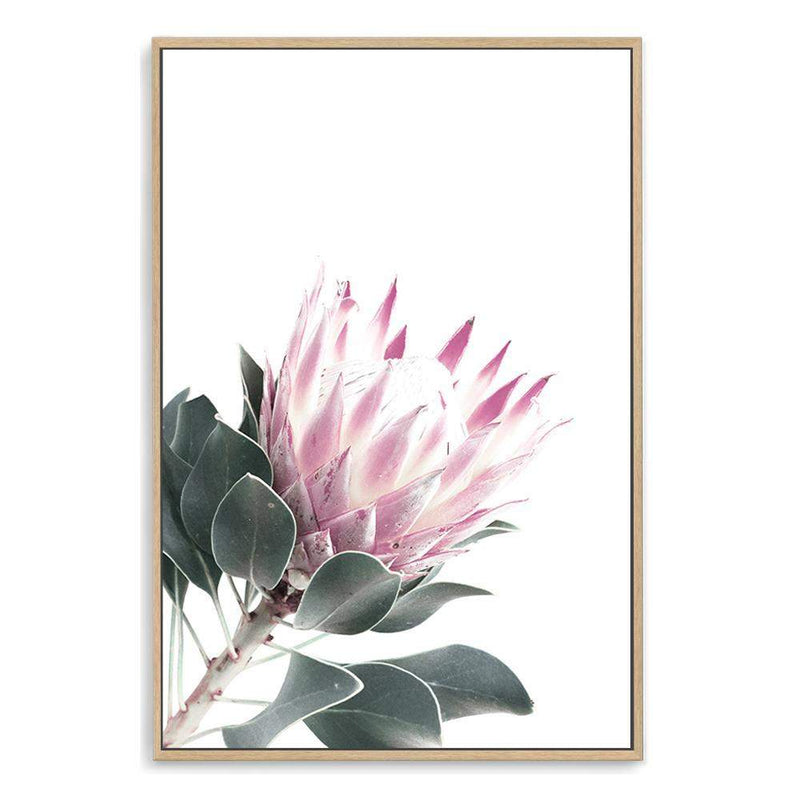 Dusty Pink Protea II-The Paper Tree-dusty pink,floral,floral artwork,flower,flowers,green,pink,pink flower,pink protea,portait,premium art print,protea,protea art,protea flower,protea flowers,wall art,Wall_Art,Wall_Art_Prints