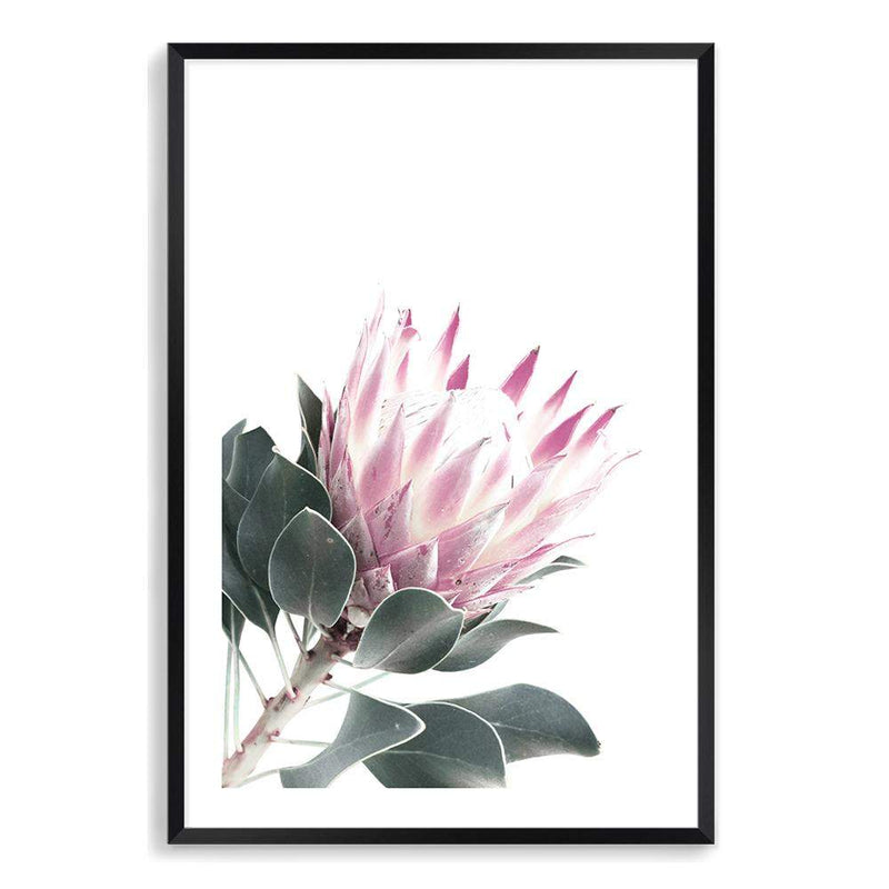 Dusty Pink Protea II-The Paper Tree-dusty pink,floral,floral artwork,flower,flowers,green,pink,pink flower,pink protea,portait,premium art print,protea,protea art,protea flower,protea flowers,wall art,Wall_Art,Wall_Art_Prints