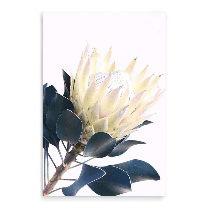 Yellow Protea II-The Paper Tree-floral,flower,flowers,portrait,premium art print,protea,protea flower,protea flowers,wall art,Wall_Art,Wall_Art_Prints,yellow,yellow flower