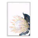 Yellow Protea-The Paper Tree-floral,flower,flowers,portrait,premium art print,protea,protea flower,protea flowers,wall art,Wall_Art,Wall_Art_Prints,yellow,yellow flower