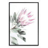 Pink Protea II-The Paper Tree-dusty pink,floral,flower,flowers,pink flower,pink protea,portrait,premium art print,protea,protea flower,protea flowers,wall art,Wall_Art,Wall_Art_Prints