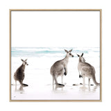 Kangaroo's On The Beach Square-The Paper Tree-animal,Art Print,art prints,Artwork,australia,australian,australian native,australiana,beach,boho,coastal,framed,hamptons,kangaroo,kangaroo's,Muted Tone,native,neutral,ocean,premium art print,square,wall art,Wall_Art,Wall_Art_Prints,waves,white