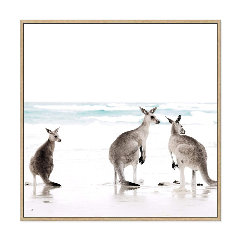 Kangaroo's On The Beach Square-The Paper Tree-animal,Art Print,art prints,Artwork,australia,australian,australian native,australiana,beach,boho,coastal,framed,hamptons,kangaroo,kangaroo's,Muted Tone,native,neutral,ocean,premium art print,square,wall art,Wall_Art,Wall_Art_Prints,waves,white
