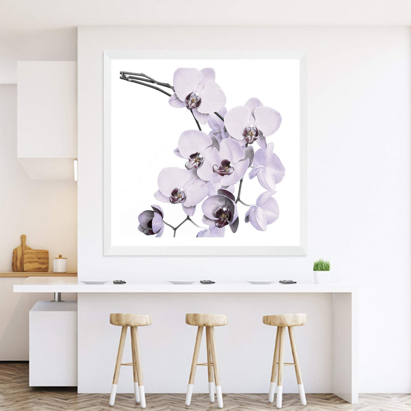 White Orchid Flowers Square-The Paper Tree-Art Print,art prints,Artwork,floral,flower,framed,hamptons,neutral,orchid,orchid flower,premium art print,square,wall art,Wall_Art,Wall_Art_Prints,white