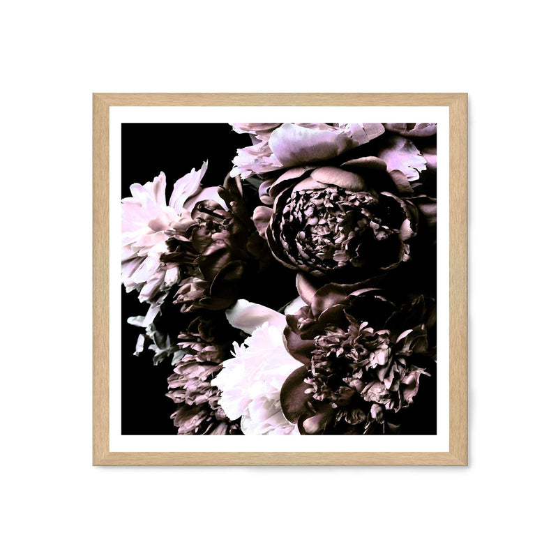 Shaded Florals Square-The Paper Tree-Art Print,art prints,Artwork,black,blooms,dark blooms,floral,flower,framed,peonies,peony,premium art print,purple,square,wall art,Wall_Art,Wall_Art_Prints,white