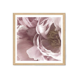Dusty Pink Peonies Square-The Paper Tree-Art Print,art prints,Artwork,floral,flower,framed,peonies,peonies flower,peony,pink,premium art print,square,wall art,Wall_Art,Wall_Art_Prints,white